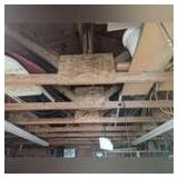 EVERYTHING IN RAFTERS OF SHOP 1 ROOM 2 EXCEPT FOR STEEL CABLING IDENTIFIED IN LOT 1302