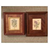 PAIR VINTAGE HAND COLORED BOTANICAL PRINTS IN HANDMADE WOOD FRAME FROM ITALY 6 3/4" X 7 3/4", 6 1/4" X 7" - LIVING ROOM