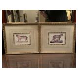 PAIR VINTAGE NICELY FRAMED/MATTED COLORED PRINTS/LITHOGRAPHS - FELIS LEO FAEMMINA -LIONESS & CUB AND FELIS TIGRIS - BENGAL TIGER 14" X 12" - UP MASTER BED