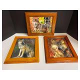 Framed wolf photographic prints, three pieces, see pictures for details.