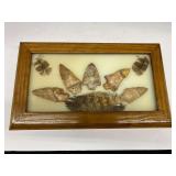 Framed Native American artifacts/arrowheads, see pictures for details.