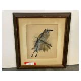 Framed and matted hand-colored lithograph, from the Dutch ornithologist and artist Johannes Gerardus Keulemans.