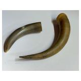 Steer horns, two pieces, see pictures or details.