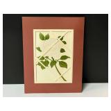 Embossed, and foil stamped rose print, ready for framing, see pictures for details.