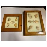 Framed Native American artifacts/arrowheads, two pieces, see pictures for details.