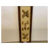 Framed Native American artifacts/arrowheads, see pictures for details.
