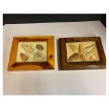 Framed Native American artifacts/arrowheads, two pieces, see pictures for details.