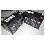 (2) UNIVERSAL BATTERY UB12100-SK SK