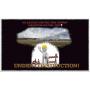 W.F. JACKSON CONSTRUCTION COMPANY LIQUIDATION AUCTION, PART 3