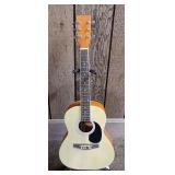 Spectrum Acoustic & Classic Guitar Model AIL36N