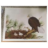 1979 LITHOGRAPH "BIRTH OF A SYMBOL" 677/1000 DOUBLE SIGNED BY ARTIST 25" X 19 1/4"