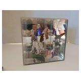 MOTH IN ENCLOSED CASE