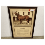 Vintage framed and matted photographic print of Taylor’s Falls with small bio, see pictures for details.