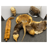 Assorted animal pelts, and more. See pictures for details.