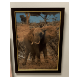 FRAMED PICTURE OF ELEPHANT 13X18