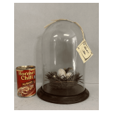 ANTIQUE GLASS DOME W/ BIRDS NEST 12" TALL X 8" ROUND