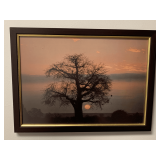 FRAMED PICTURE OF TREE AT SUNRISE ON THE ZAMBEZI RIVER 18X13
