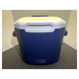 Coleman rolling lunch cooler, see pictures for details.