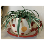 EXTRA LARGE CERAMIC POLKA-DOT TEACUP PLANTER WITH SILK 15" WIDE X 7" TALL