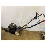 D2-Gas powered edger, not locked up, working condition unknown, see pictures for details.