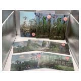 8 VINTAGE POSTCARDS FROM OKEFENOKEE SWAMP PARK, GA