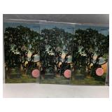 3 VINTAGE BRUNSWICK, GA LANIER OAK POST CARDS