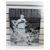 Ted Williams sign