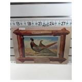Ringneck pheasant sign
