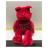 Dale Earnhardt jr Teddy