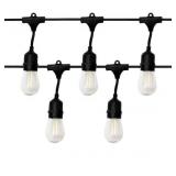 48-ft String Light/24 White-Light LED Edison Bulbs