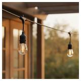 48-ft Solar String Light /20 LED Edison Bulbs