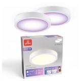 Smart LED Flush Mount Light /Plastic Shade 2 Pack