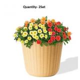 Clay Wash Recycled plastic Planter -2Set