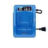 Kobalt 40-Volt Max Battery Charger