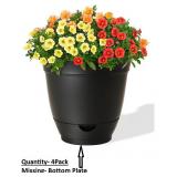Style Selections 14-in Self-Watering 4-Pack