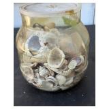 Shell Assortment in Plastic Jar