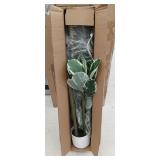 Artificial Plant Decor Appears New