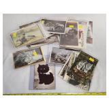 Vintage Cat Postcard Large Quantity