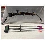 Golden Eagle Bow and Arrows