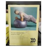 All in Motion 75cm Weighted Stability Ball