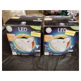 Two led flood light bulbs
