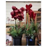 Poinsettia Christmas decor