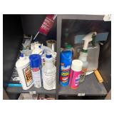 Contents of 2 Shelves cleaners