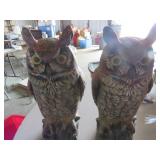 Large Painted Owl Statues with Textured Detailing