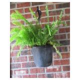 Hanging Fern in Black Plastic Pot with Hook
