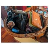 Basket Lot - Umbrella, Gloves, Scarves, Ponchos