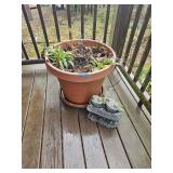 Large Terracotta Planter & Frog Statue
