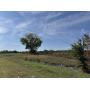 0 Academy Rd, Portland, TN 37148