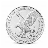 1oz Silver American Eagles  2025 - Current Year
