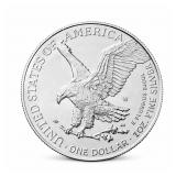 1oz Silver American Eagles  2025 - Current Year
